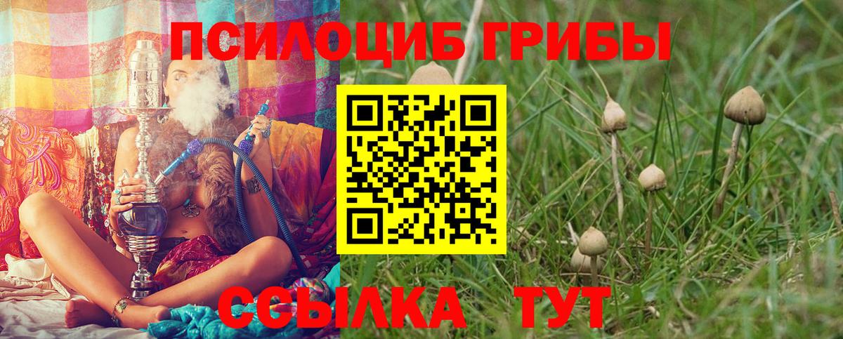 Галлюциногенные грибы мицелий  Вход с VPN  купить наркотик  Скопин 
