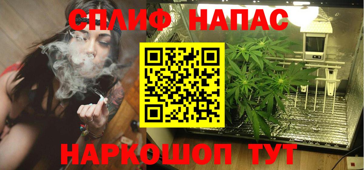 Шишки марихуана THC 21%  Вход с VPN  МАРИХУАНА план  Скопин 